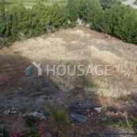 Дом на Кипре, Фамагуста