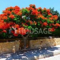 Villa in Republic of Cyprus, Eparchia Pafou, Nicosia, 166 sq.m.