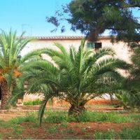 House in Spain, Balearic Islands, Palma, 650 sq.m.