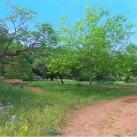 House in Spain, Balearic Islands, Palma, 650 sq.m.