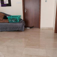 Villa in Republic of Cyprus, Lemesou, Nicosia, 363 sq.m.