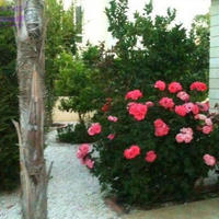 Villa in Republic of Cyprus, Lemesou, Nicosia, 210 sq.m.