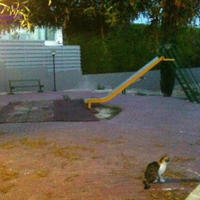 Villa in Republic of Cyprus, Lemesou, Nicosia, 210 sq.m.