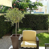 Villa in Republic of Cyprus, Eparchia Pafou, Nicosia, 125 sq.m.