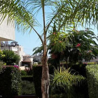 Villa in Republic of Cyprus, Eparchia Pafou, Nicosia, 125 sq.m.