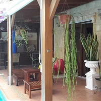 Villa in Republic of Cyprus, Lemesou, Nicosia, 226 sq.m.