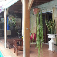 Villa in Republic of Cyprus, Lemesou, Nicosia, 226 sq.m.