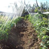 House in Spain, Canary Islands, Santa Cruz de Tenerife