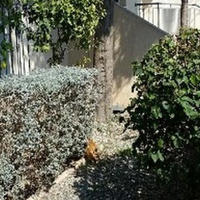 Апартаменты на Кипре, Лимасол, Никосия, 115 кв.м.