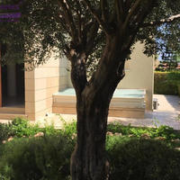 Villa in Republic of Cyprus, Lemesou, Nicosia, 268 sq.m.