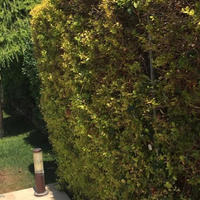 Villa in Republic of Cyprus, Lemesou, Nicosia, 268 sq.m.