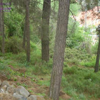 Villa in Republic of Cyprus, Lemesou, Nicosia, 280 sq.m.