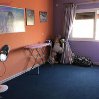 Вилла на Кипре, Лимасол, Никосия, 125 кв.м.