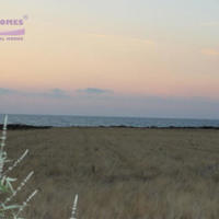 Земельный участок на Кипре, Пафос, Никосия