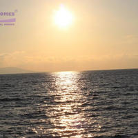 Земельный участок на Кипре, Пафос, Никосия