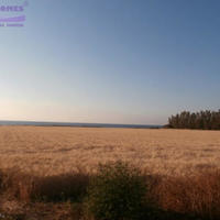 Земельный участок на Кипре, Пафос, Никосия