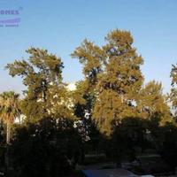 Apartment in Republic of Cyprus, Lemesou, Nicosia, 98 sq.m.