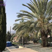 Вилла на Кипре, Лимасол, Никосия, 243 кв.м.