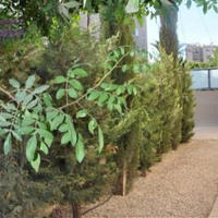 Other in Republic of Cyprus, Lemesou, Nicosia, 104 sq.m.