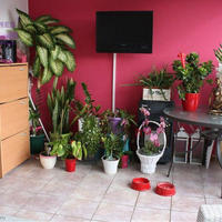 Apartment in Republic of Cyprus, Lemesou, Nicosia, 162 sq.m.