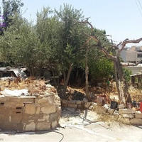 Вилла на Кипре, Пафос, Никосия, 100 кв.м.