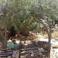 Вилла на Кипре, Пафос, Никосия, 100 кв.м.