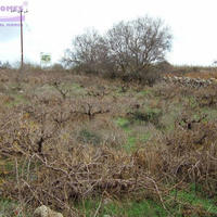 Земельный участок на Кипре, Пафос, Никосия