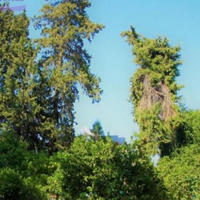 Апартаменты на Кипре, Лимасол, Никосия, 97 кв.м.