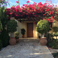 Вилла на Кипре, Пафос, Никосия, 300 кв.м.