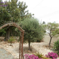 Вилла на Кипре, Пафос, Никосия, 180 кв.м.