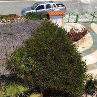 Вилла на Кипре, Пафос, Никосия, 160 кв.м.