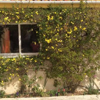 Вилла на Кипре, Пафос, Никосия, 160 кв.м.