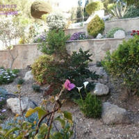 Villa in Republic of Cyprus, Eparchia Pafou, Nicosia, 100 sq.m.