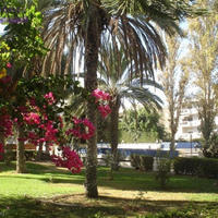 Апартаменты на Кипре, Лимасол, Никосия, 52 кв.м.