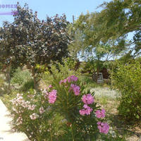 Villa in Republic of Cyprus, Lemesou, Nicosia, 250 sq.m.