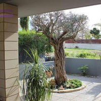 Вилла на Кипре, Пафос, Никосия, 380 кв.м.