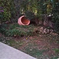 Villa in Republic of Cyprus, Lemesou, Nicosia, 160 sq.m.