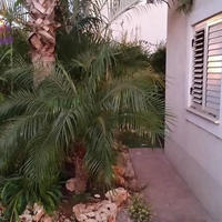 Villa in Republic of Cyprus, Lemesou, Nicosia, 160 sq.m.