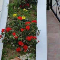 Вилла на Кипре, Лимасол, Никосия, 300 кв.м.