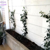 Апартаменты на Кипре, Лимасол, Никосия, 90 кв.м.