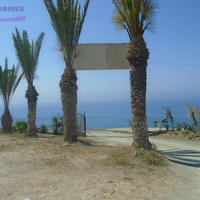 Restaurant (cafe) in Republic of Cyprus, Lemesou, Nicosia