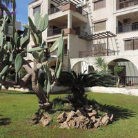 Апартаменты на Кипре, Лимасол, Никосия, 113 кв.м.