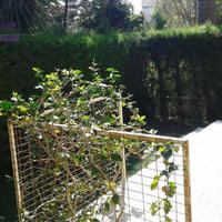 Villa in Republic of Cyprus, Lemesou, Nicosia