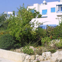 Другое на Кипре, Пафос, Никосия, 80 кв.м.