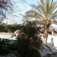 Вилла на Кипре, Пафос, Никосия, 150 кв.м.