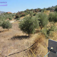 Land plot in Republic of Cyprus, Lemesou, Nicosia