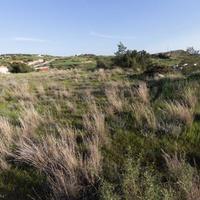 Villa in Republic of Cyprus, Lemesou, Nicosia, 430 sq.m.