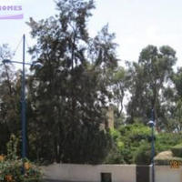 Апартаменты на Кипре, Лимасол, Никосия, 47 кв.м.