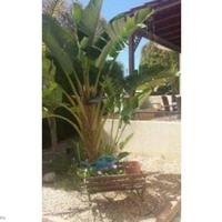 Вилла на Кипре, Лимасол, Никосия, 250 кв.м.