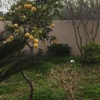 Вилла на Кипре, Лимасол, Никосия, 192 кв.м.